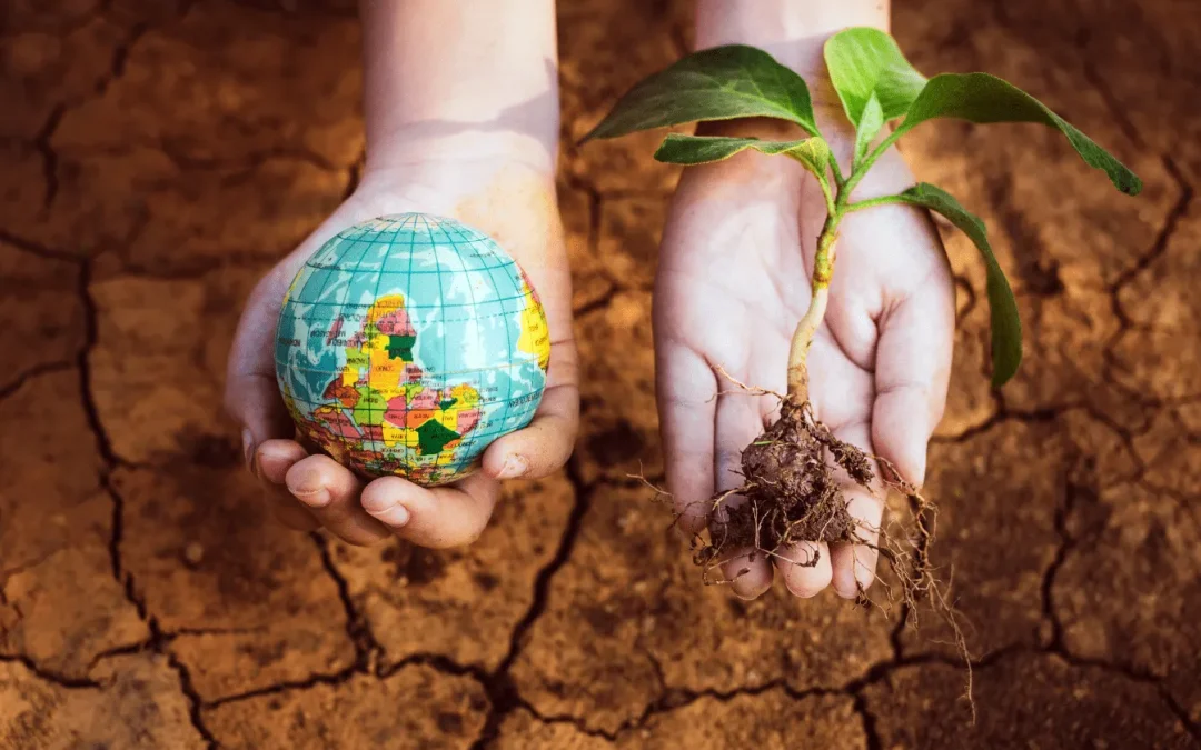 Le quiz de la journée de la terre proposé par Google