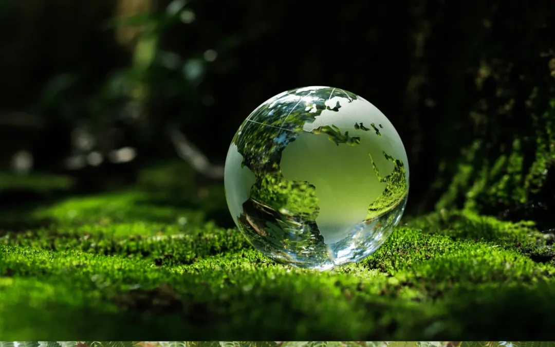 La matrice du BCG : un outil d&rsquo;analyse stratégique pour optimiser votre portefeuille de produits