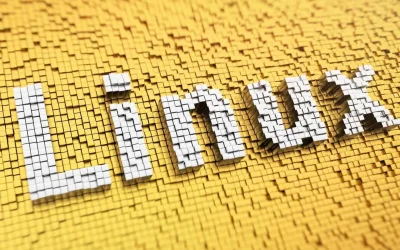Navigateurs web disponibles sur Linux : guide complet de téléchargement